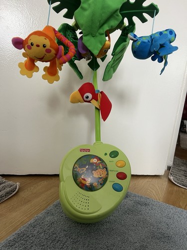 2006 fisher price rainforest - fisher,