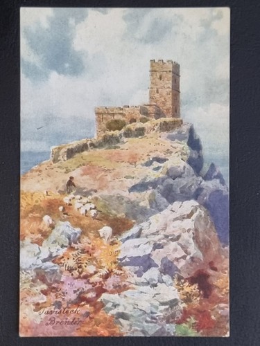Tavistock postcard c1910 the - postcard,