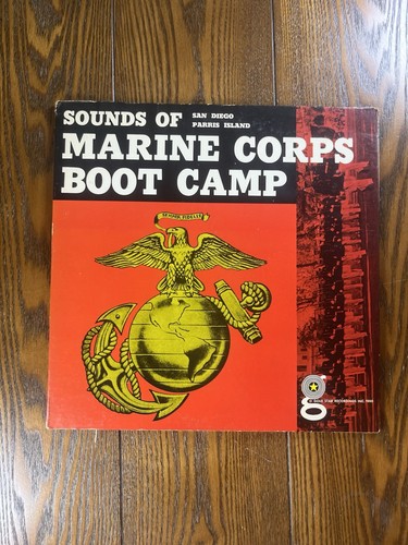 Vintage vinyl record sounds - ,
