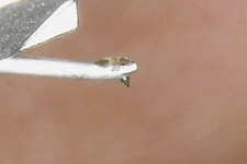 audio technica cartridge AT - OC9XEB - Moving Coil approx 50 hours.