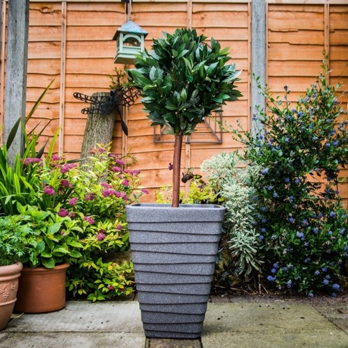 Sankey tall square trojan - tall,