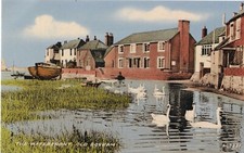 Vintage Valentine's Postcard