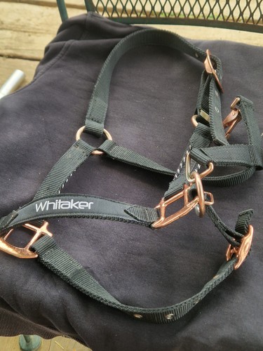 Whitaker headcollar black - whitaker, black/rose