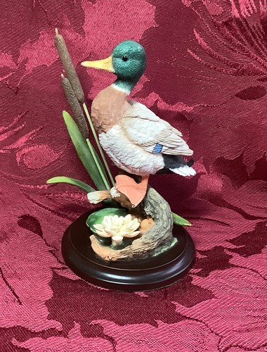Country artist mallard with - country,