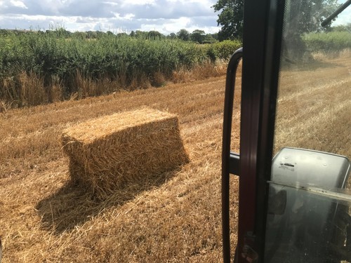 Straw bales 80x50 string - straw,