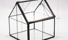 Glass Plant Terrarium