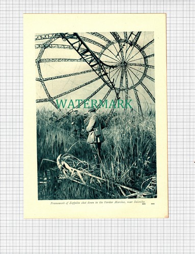 X1263 zeppelin vardar marshes - x1263),