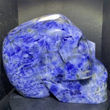 24.6LB 9.8" Large Natural