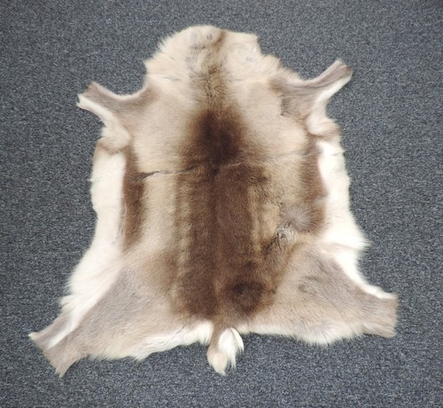 Animal skin rug good - animal,