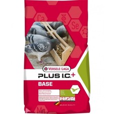 Versele laga base - laga, ic