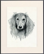 SALUKI OLD DOG HEAD STUDY PRINT 1935 BY C.F. WARDLE MOUNTED READY TO FRAME