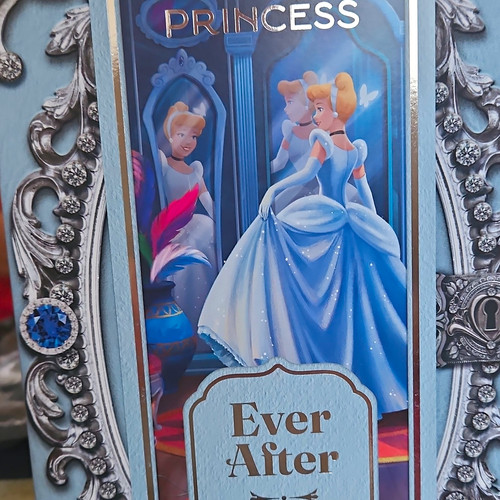 Disney princess ever after - ever,