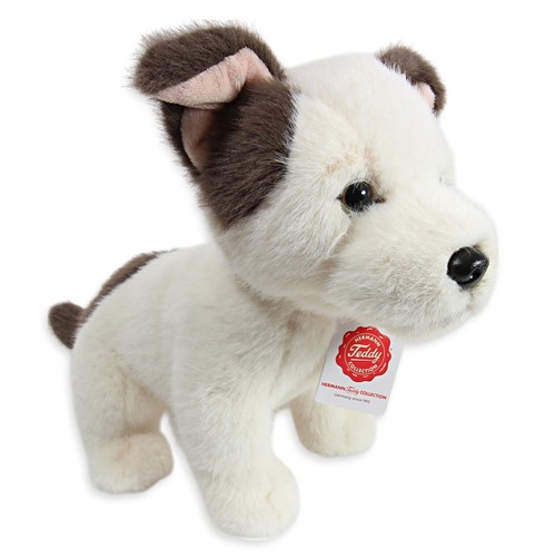Teddy hermann jack russell - hermann,