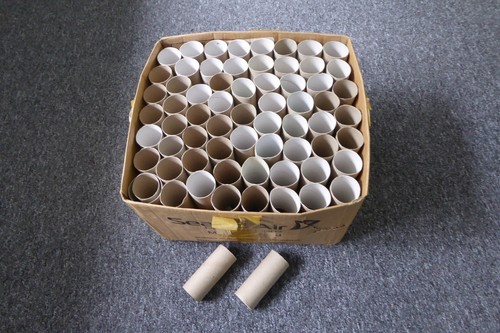 Empty toilet rolls - toilet,