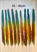 Parrot Macaw Feather Crafts