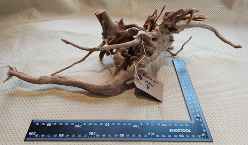 Red moor aquarium - aquarium, wood