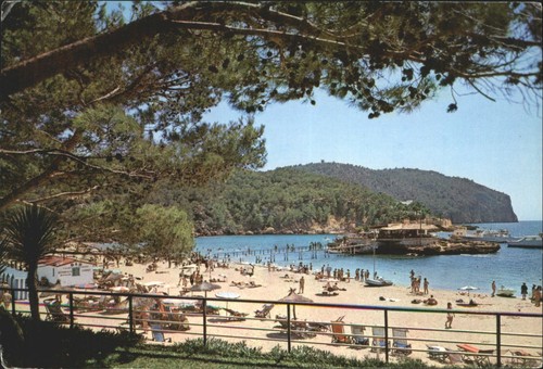 Vintage nevcolor postcard camp - vintage,