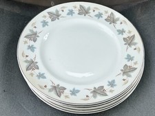 VINTAGE SET OF 6 PLATES VINEWOOD RIDGWAY CERAMIC POTTERY WHITE MIST PATTERN