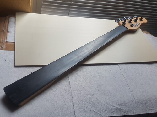 Godin fretless ebony bass - fretless,