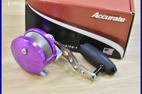 Accurate bv2 600hnn ae1000ex - accurate, bv2-600hnn