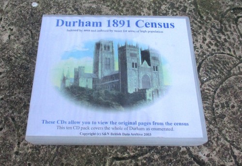 County durham 1891 census 10 - county,