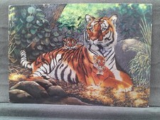 Tiger & cubs  24297