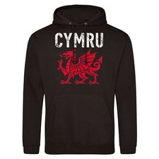 Welsh Red Dragon Mens Hoodie Y