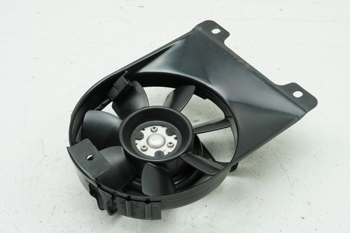 Yamaha tdm 850 4tx - tdm, fan