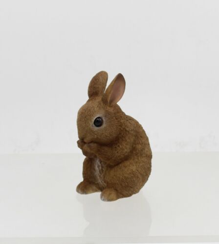 Vivid arts sitting - baby, brown