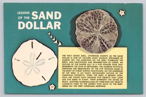 Legend the sand - sand, dollar