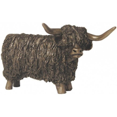 Highland bull standing - highland, cold