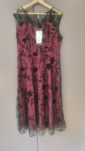 Elegant velvet acevog - elegant,