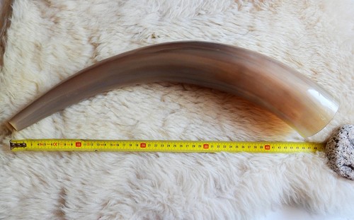 Vikings large cow horn music - large,