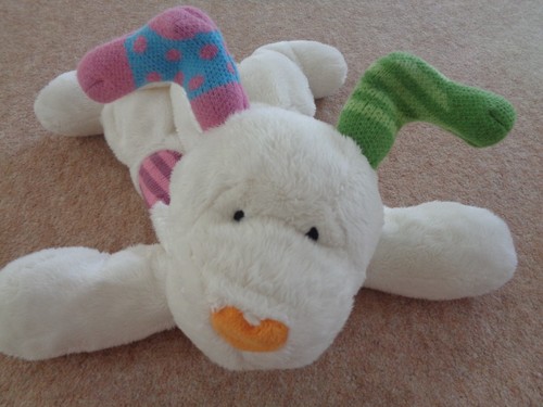 The snowdog soft - the, /