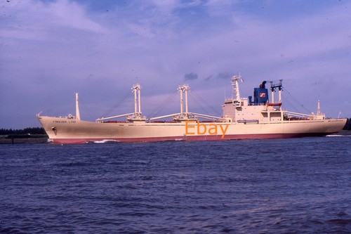 35mm slide refridgerated - slide,