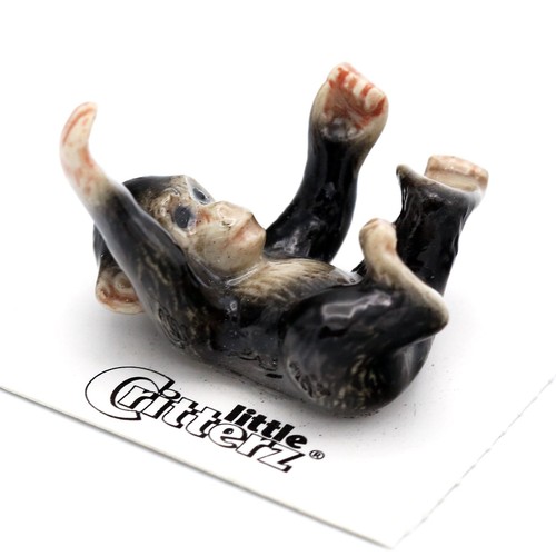 Little critterz black - black,