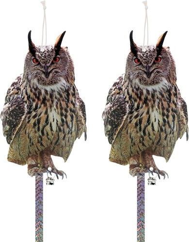 Owl pigeon repellent - pigeon,