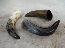 3 Viking Drinking Horns -