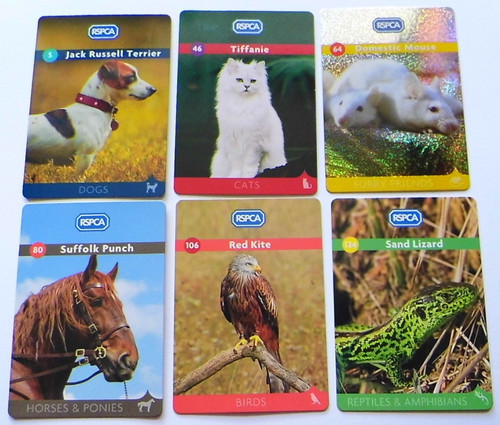 Rspca pets creatures - rspca,