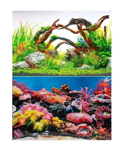 Aquarium fish tank - aquarium, background