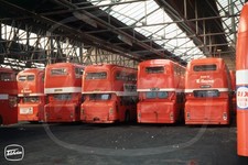 Bus Photo - East Yorkshire NBC depot shot Atlantean & Fleetline rears inc HFT367