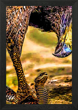 Animal 6 Framed Wall Art