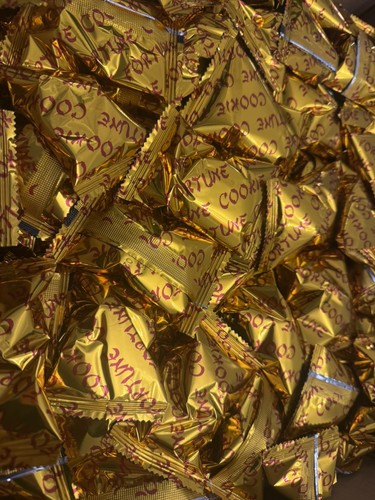 300 fortune cookies - fortune,