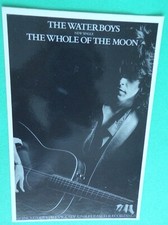 WATERBOYS Whole Of The Moon