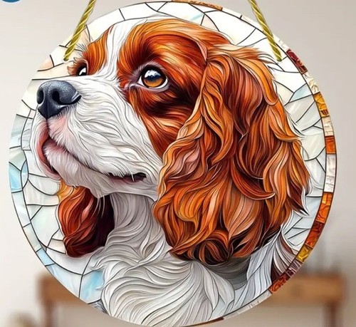 Cavalier king charles spaniel - cavalier,