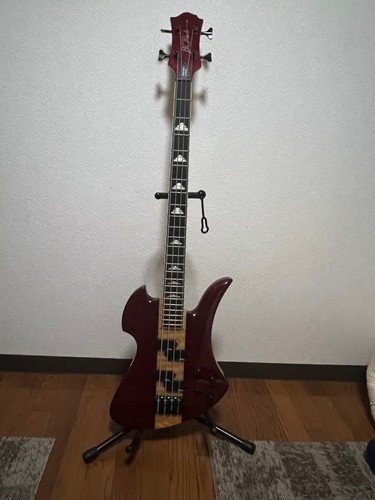 Rich mockingbird bass - b.c.,