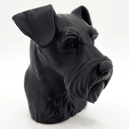 Miniature schnauzer dog bust - miniature,