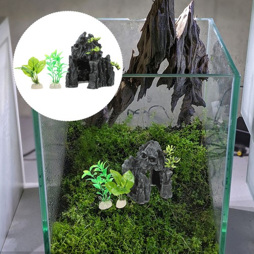 Snake hide lizard tank - snake,