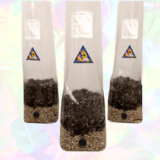 Dung Lover Mushroom All In One