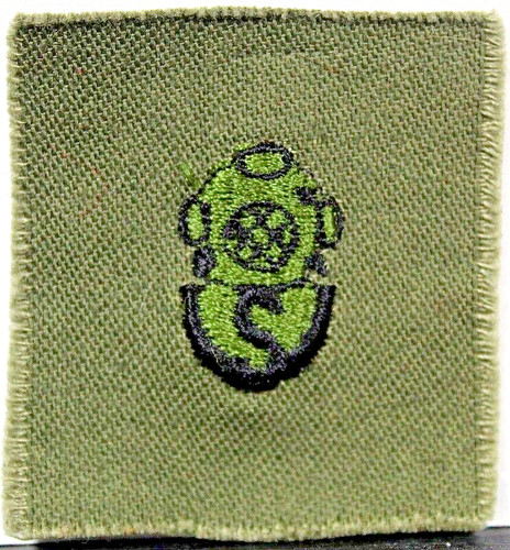 Army salvage diver - salvage,